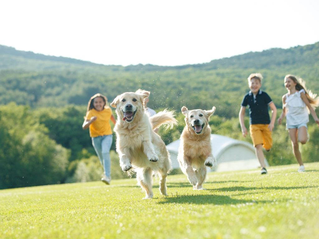 will getting a pet help my feelings of hopelessness