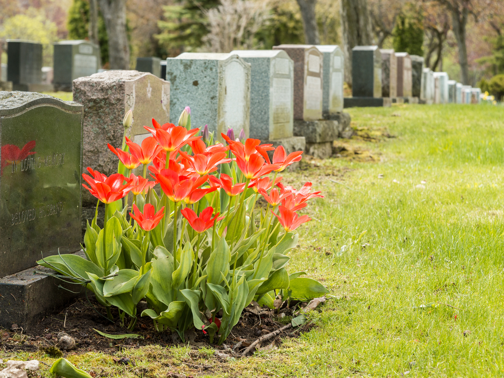 hopelessness after the death of a loved one